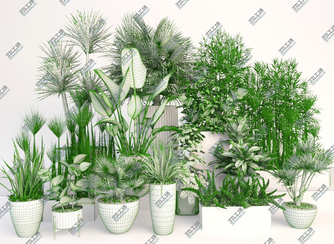 images/goods_img/20210313/Plants 19 3D/4.jpg